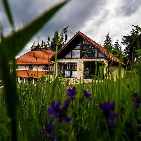 Pensiunea Romconcord Balcesti Bagian luar foto