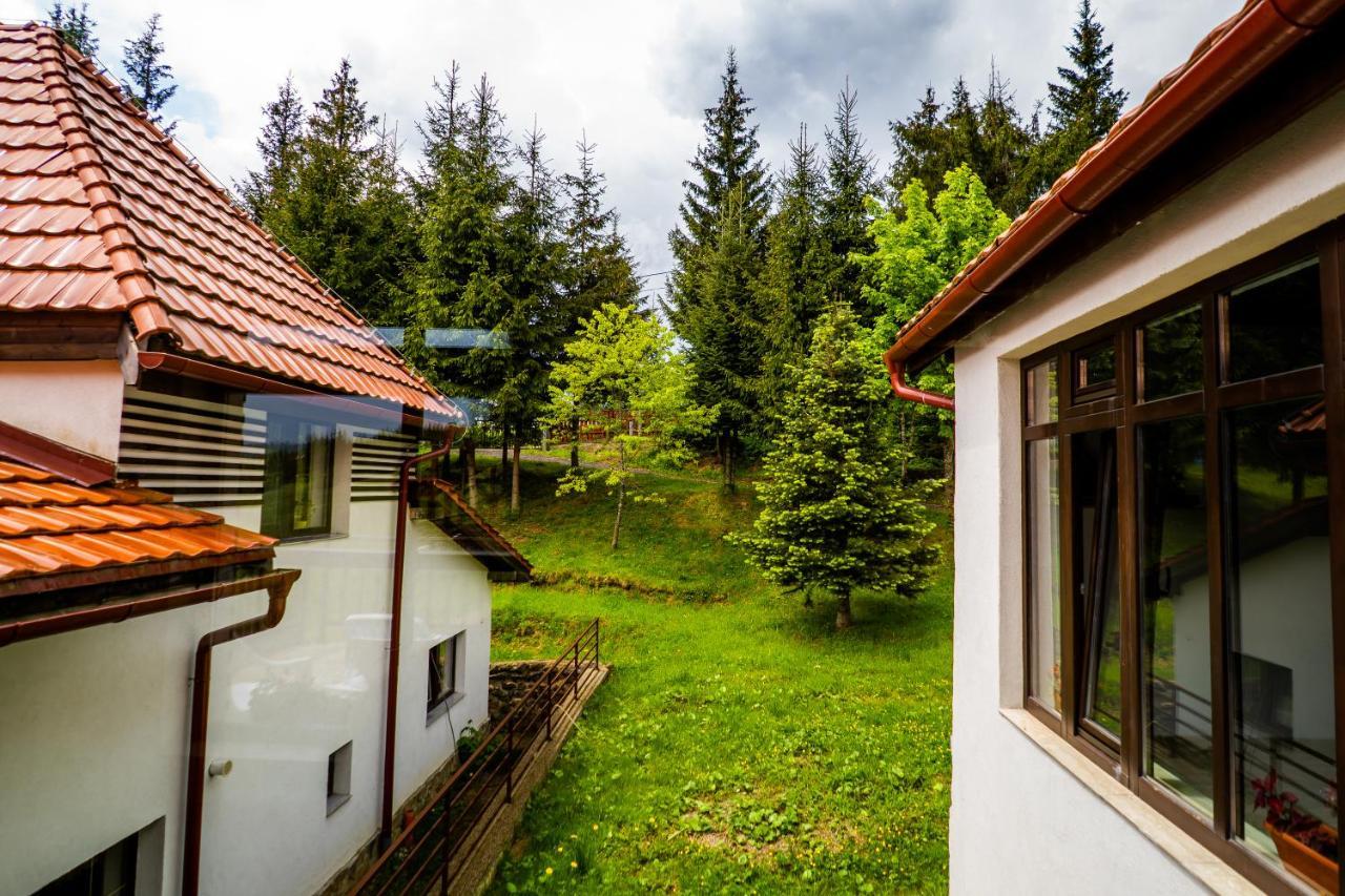 Pensiunea Romconcord Balcesti Bagian luar foto